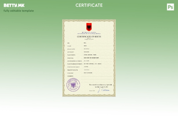 Шаблон PSD за извод од матична книга на родените во Албанија во модерен стил